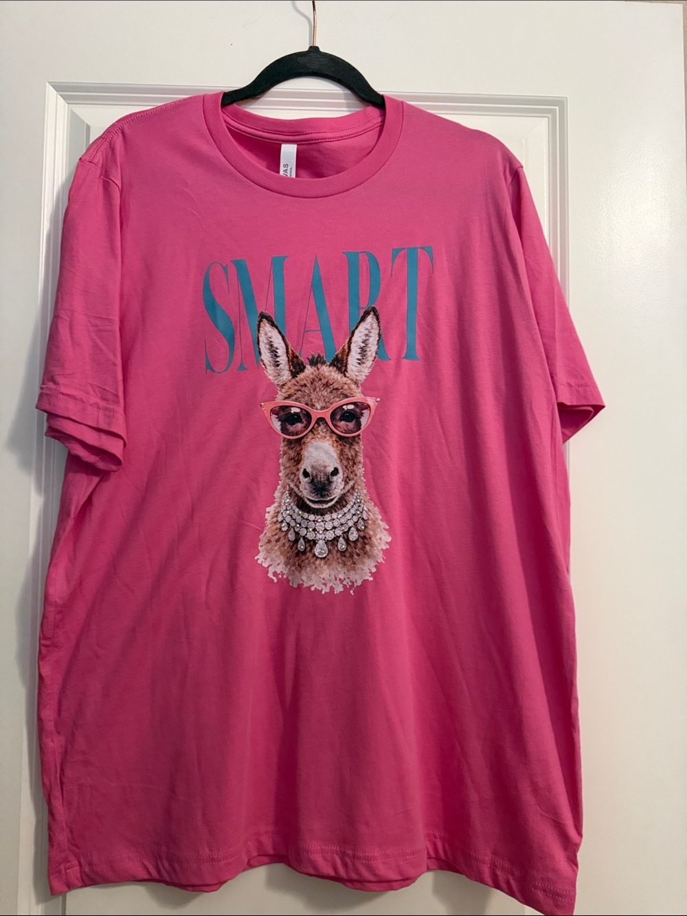 Bella Canvas Pink Graphic 'SMART' Donkey Tee